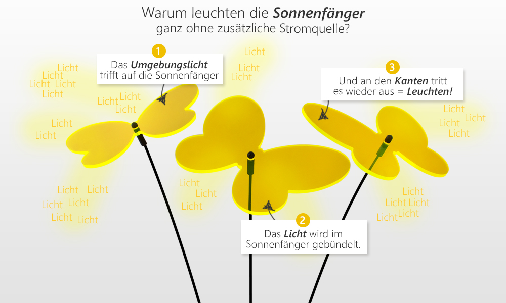 Warum leuchten die Sonnenfänger - SUNPLAY